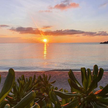 ナンユアン アイランド ダイブ リゾート タオ島 エクステリア 写真